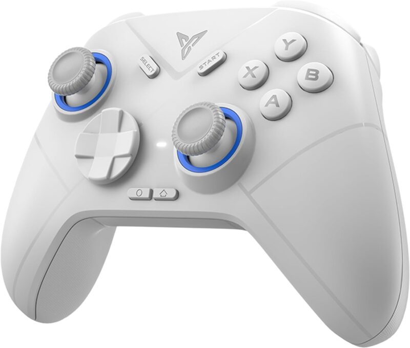 Controle Wireless Flydigi Direwolf 2